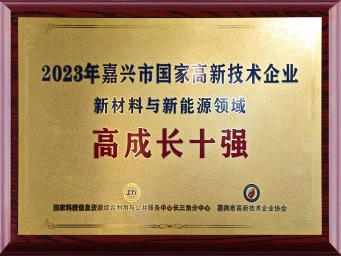 高成長十強(qiáng)